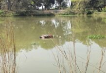 उन्नाव जिले में एक के बाद एक हत्याओं का सिलसिला जारी एक दिन में तीन हत्याएं उन्नाव के एसपी की नजर से कैसे बच रहे हैं कुछ जमे हुए थाना प्रभारी कब होगा तबादला,तालाब में मिला 35 वर्षीय युवक का शव शिनाख्त के प्रयास जारी