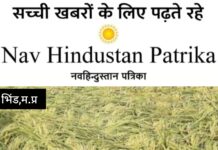 असामयिक बारिश व ओलावृष्टि से फसल नुकसान, किसान 72 घंटे में दें बीमा सूचना