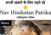भीमताल के पास तेंदुए की बाइक से टक्कर, इंसानी दखल से सिमटते जंगलों पर बड़ा सवाल